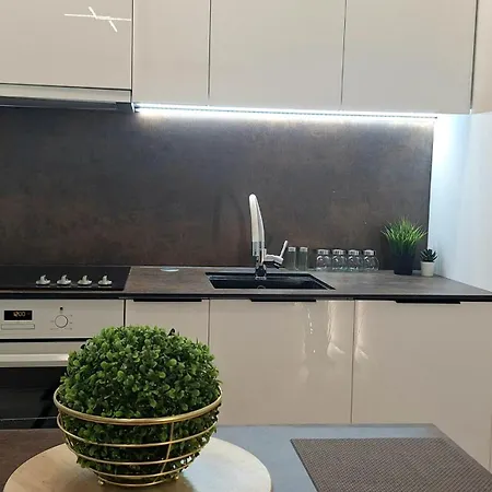 Starlight Rose Apartament *