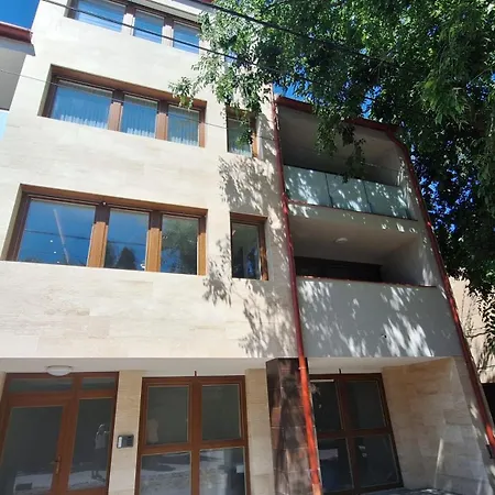 Starlight Rose * Szeged