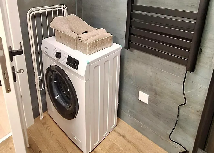 Starlight Rose * Szeged