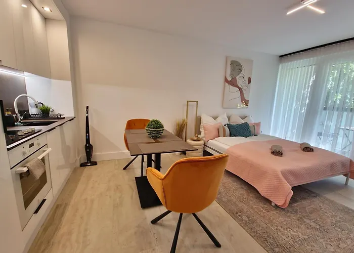 Starlight Rose * Szeged